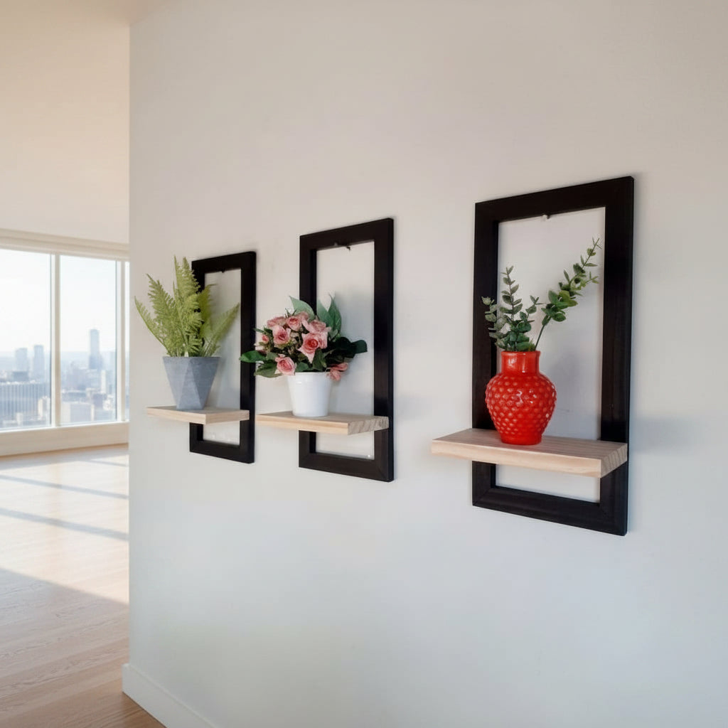 Modern Wall Frame Shelf