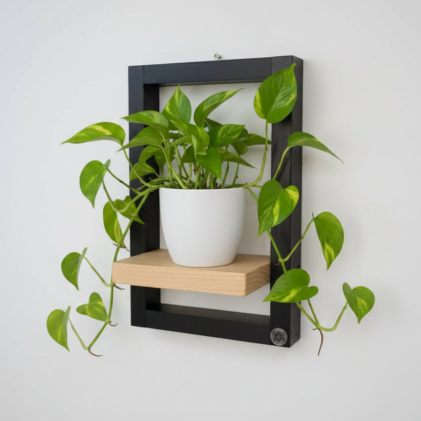 Modern Wall Frame Shelf