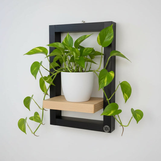 Modern Wall Frame Shelf