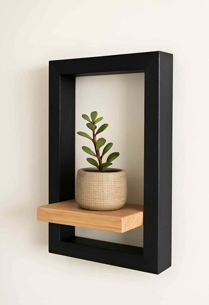 Modern Wall Frame Shelf